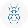 Ant Removals In Newcastle Under Lyme