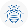 Bed Bug Extermination In Newcastle Under Lyme