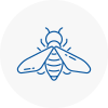 Bee Nest Removal Newcastle Under Lyme
