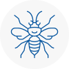 Newcastle Under Lyme Hornet Nest Removals