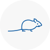 Mice Exterminators In Newcastle Under Lyme