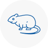 Rat Control Newcastle Under Lyme